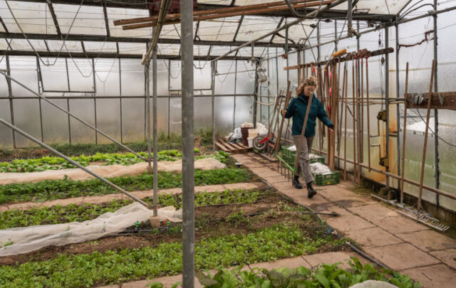 glasshouse