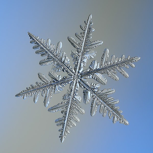 File:Snowflake - Flickr - Alexey Kljatov.jpg