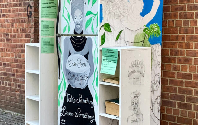 Community Fridge and public bookcase in New York