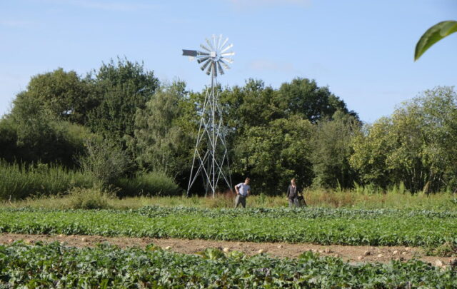 farm land