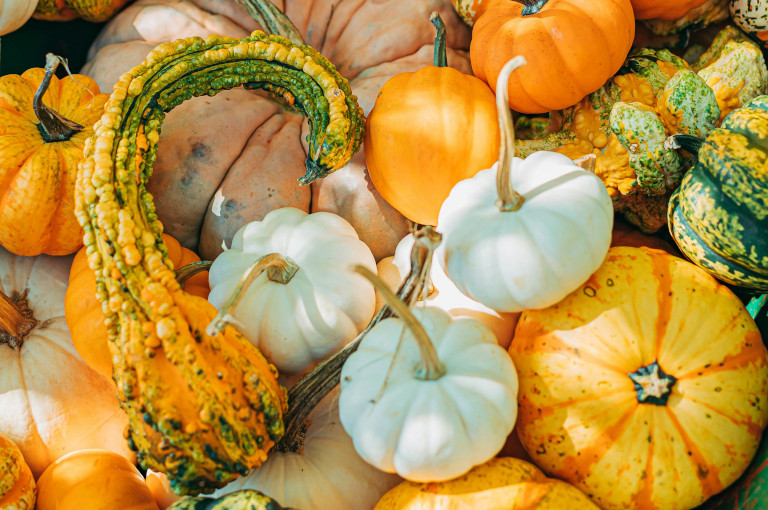 harvest