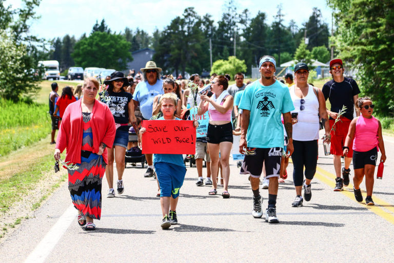 Wild Rice run