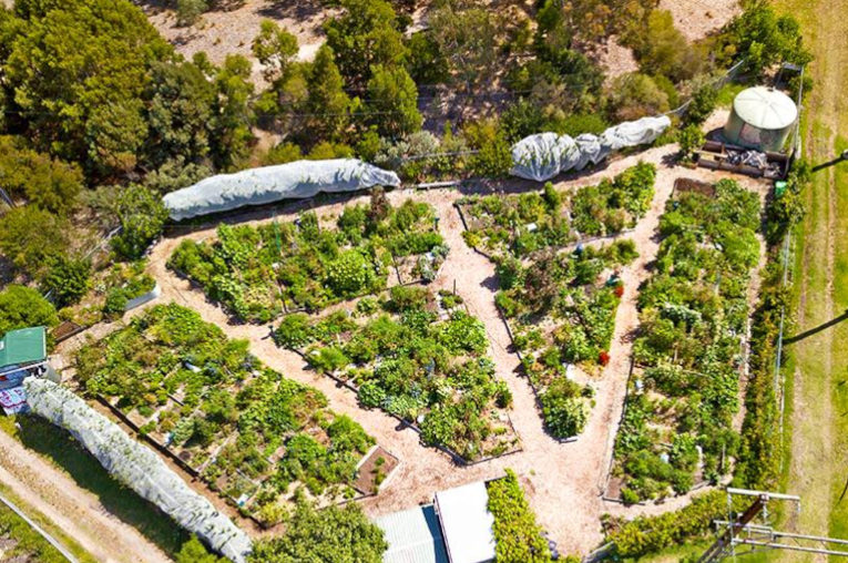 community garden