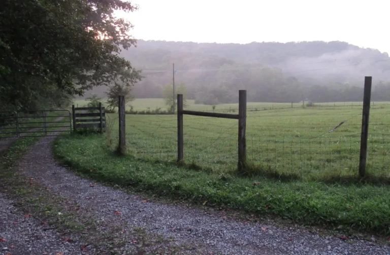 Brian Miller's farm